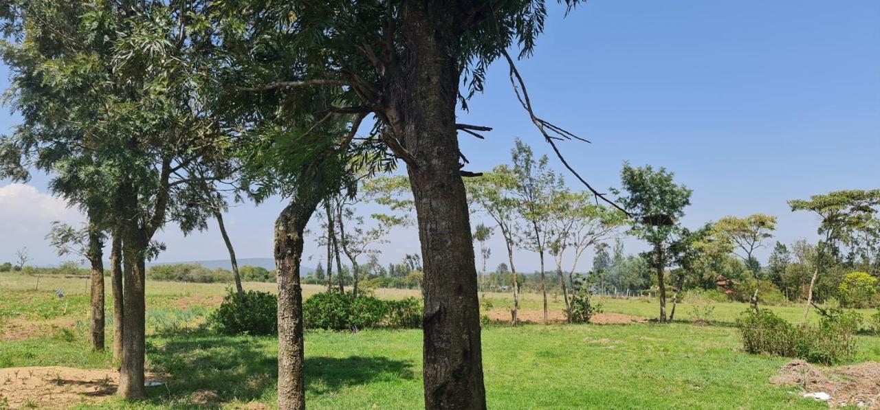 Le Tai Village Resort Near Solio Game Reserve Mweiga エクステリア 写真
